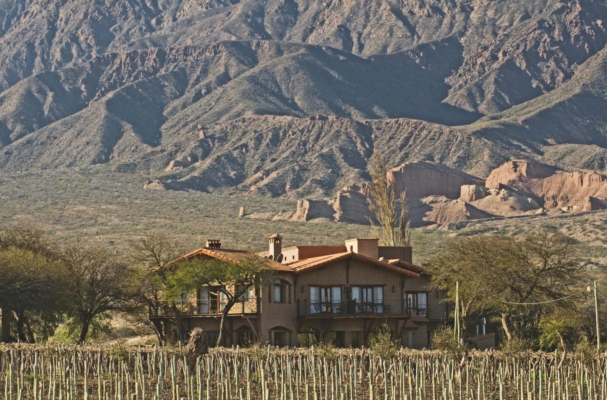La Casa De La Bodega - Wine Boutique Hotel Cafayate Eksteriør bilde