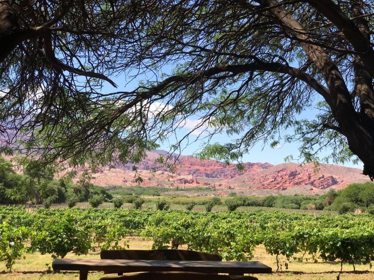 La Casa De La Bodega - Wine Boutique Hotel Cafayate Eksteriør bilde